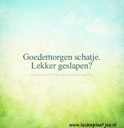 ᐅ liefde goedemorgen lieverd - Liefde plaatjes Tekst op een lichte achtergrond: "Goedemorgen schatje. Lekker geslapen?"