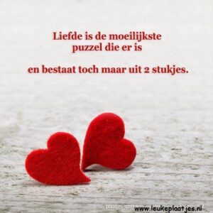 liefdes teksten