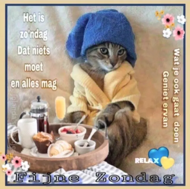 Kat in badjas en hoed, naast een dienblad met lekkernijen. Tekst: "Fijne Zondag".