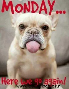 maandag humor