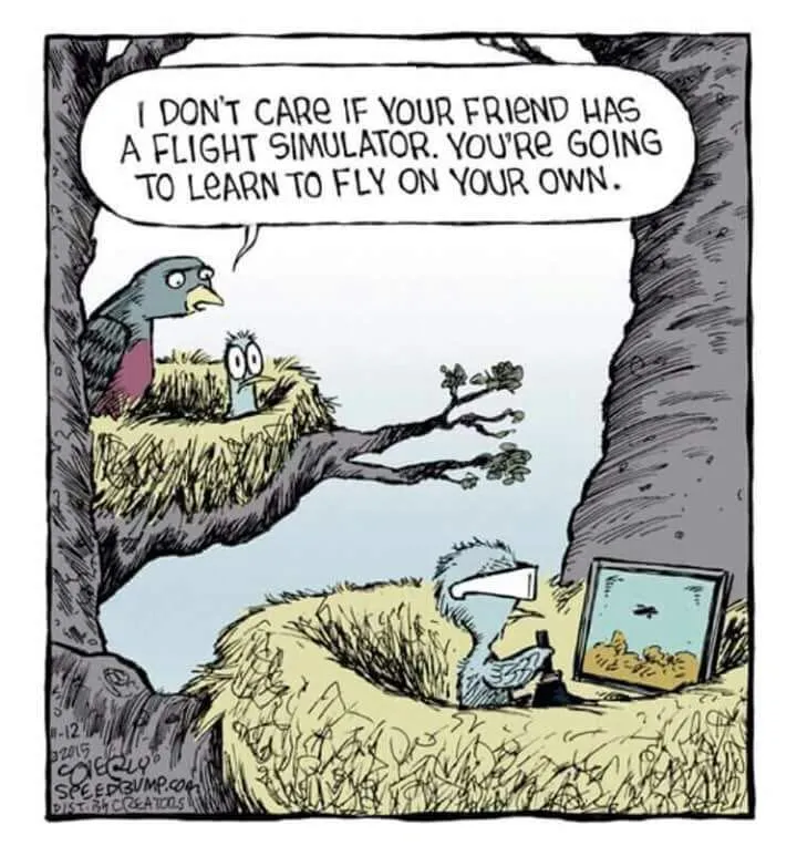 ᐅ maandag humor - Maandag plaatjes Vogels in een boom bespreken het leren vliegen en een vlucht simulator.