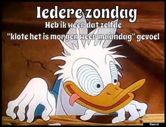ᐅ maandag humor - Maandag plaatjes Een cartoonachtige eend die klaagt over het gevoel bij zondag en maandag.