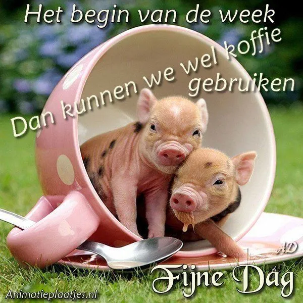 ᐅ maandag plaatjes - Maandag plaatjes ᐅ maandag plaatjes - Maandag plaatjes