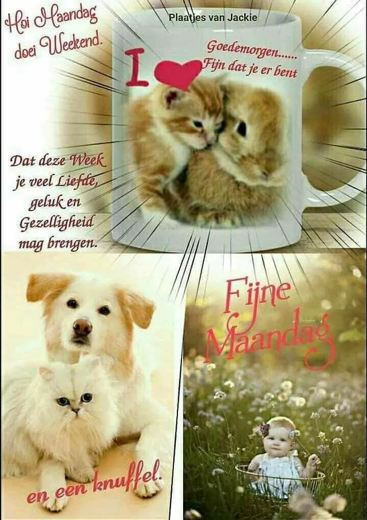 ᐅ maandag plaatjes - Maandag plaatjes ᐅ maandag plaatjes - Maandag plaatjes