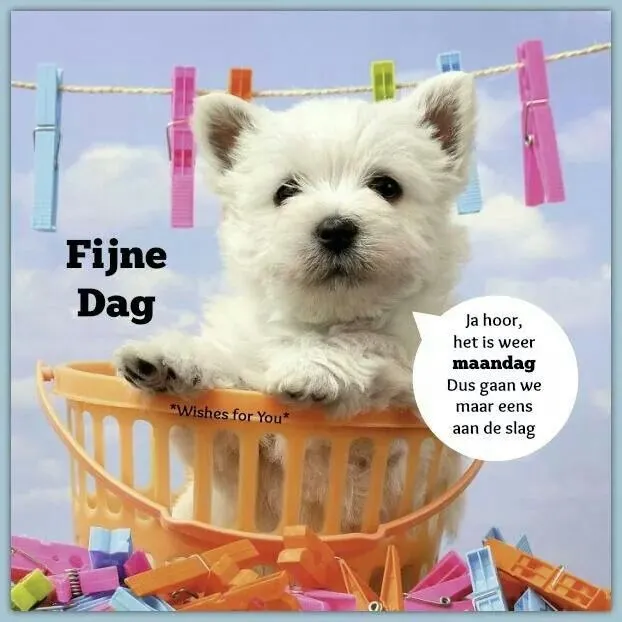 ᐅ maandag plaatjes - Maandag plaatjes ᐅ maandag plaatjes - Maandag plaatjes