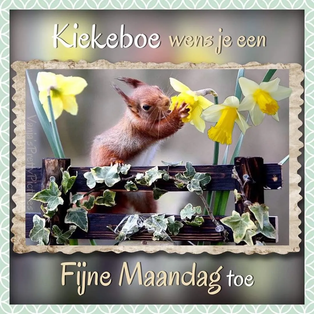 ᐅ maandag plaatjes - Maandag plaatjes ᐅ maandag plaatjes - Maandag plaatjes