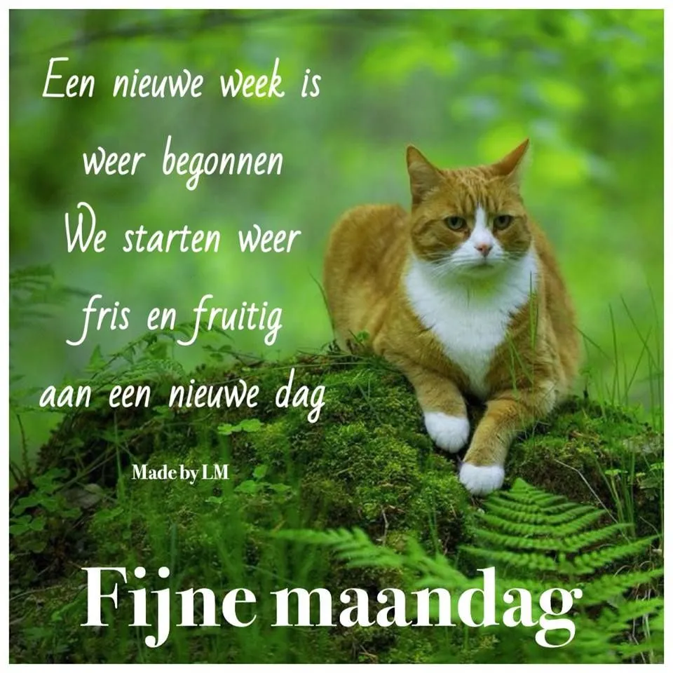 ᐅ maandag plaatjes - Maandag plaatjes ᐅ maandag plaatjes - Maandag plaatjes