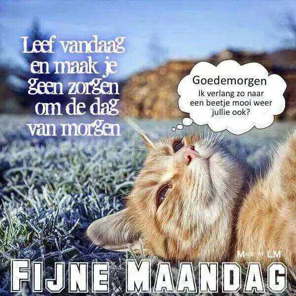 ᐅ maandag plaatjes - Maandag plaatjes ᐅ maandag plaatjes - Maandag plaatjes