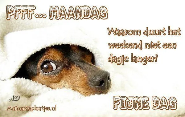 ᐅ maandag plaatjes - Maandag plaatjes ᐅ maandag plaatjes - Maandag plaatjes