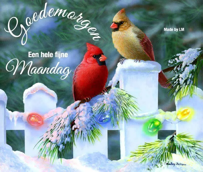 ᐅ maandag sneeuw - Maandag plaatjes