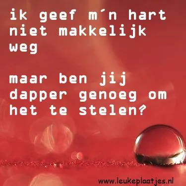 Tekst op een foto: "Ik geef m'n hart niet makkelijk weg, maar ben jij dapper genoeg om het te stelen?"