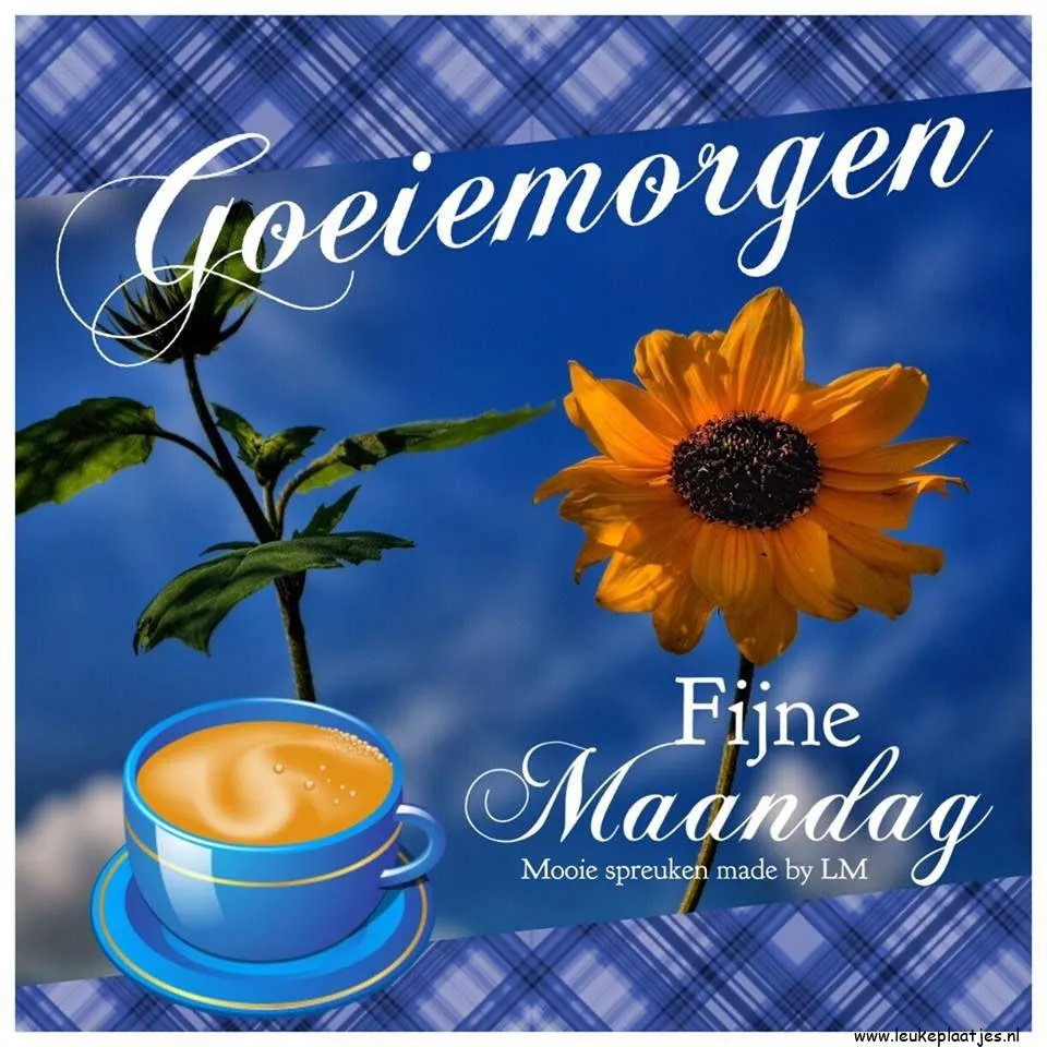 mijn maandag