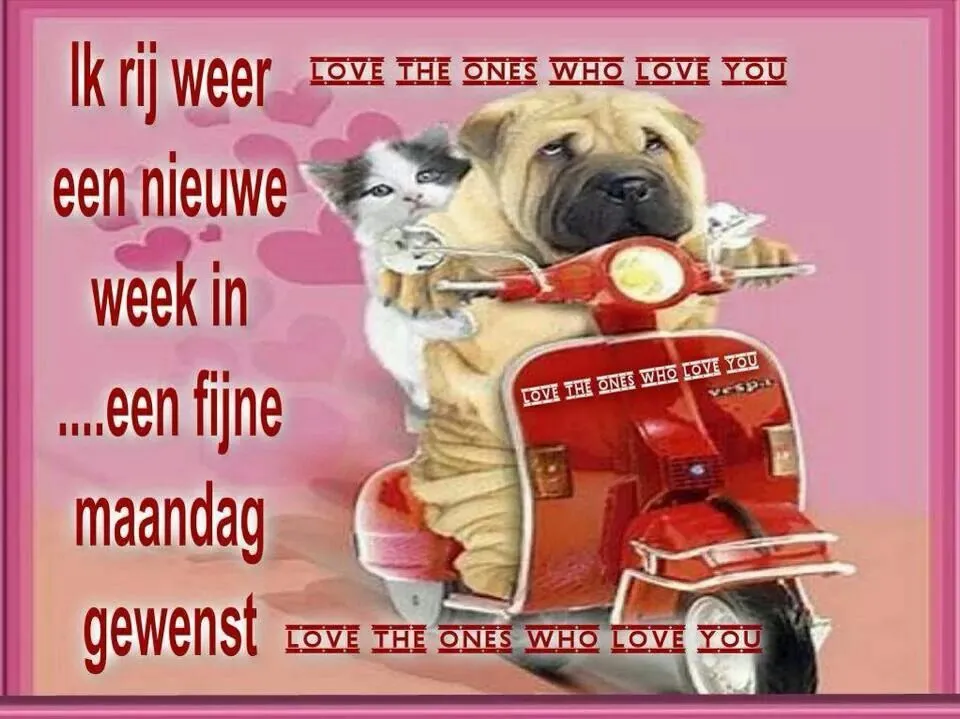 ᐅ mijn maandag - Maandag plaatjes ᐅ mijn maandag - Maandag plaatjes