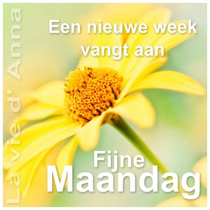 ᐅ mijn maandag - Maandag plaatjes ᐅ mijn maandag - Maandag plaatjes