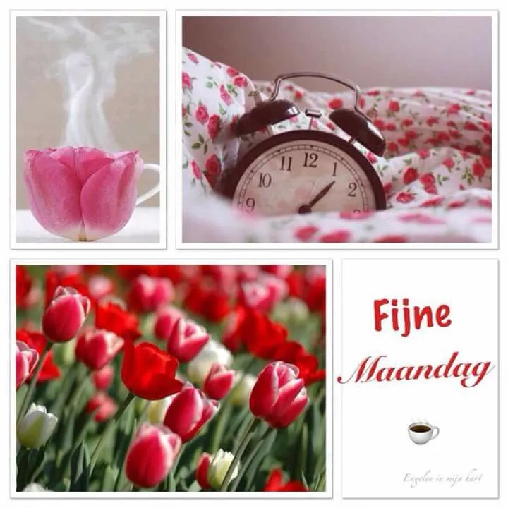 ᐅ mijn maandag - Maandag plaatjes ᐅ mijn maandag - Maandag plaatjes