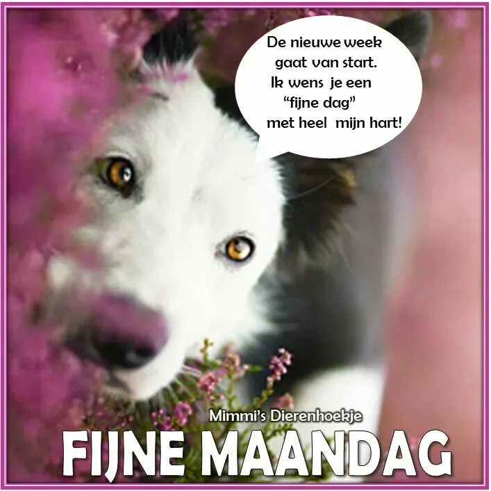 ᐅ mijn maandag - Maandag plaatjes ᐅ mijn maandag - Maandag plaatjes