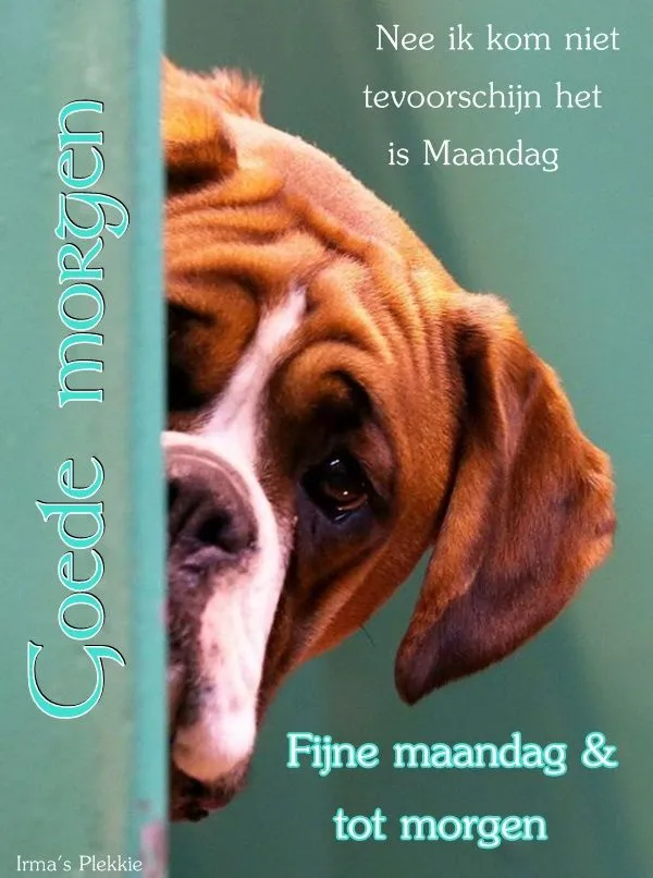 ᐅ mijn maandag - Maandag plaatjes ᐅ mijn maandag - Maandag plaatjes