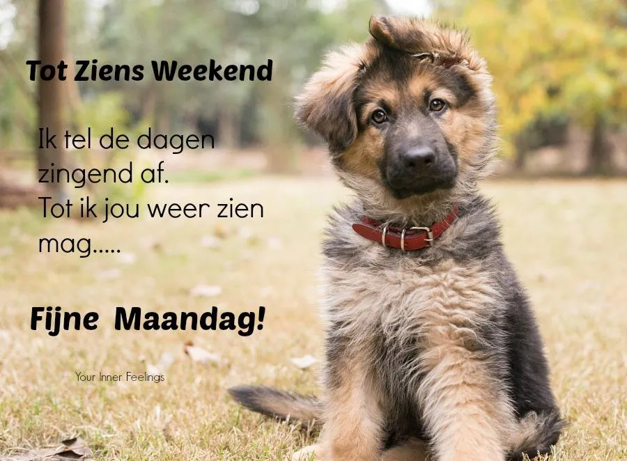 ᐅ mijn maandag - Maandag plaatjes ᐅ mijn maandag - Maandag plaatjes