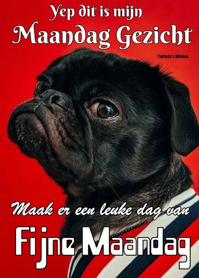 ᐅ mijnmaandag - Maandag plaatjes mijnmaandag - Pug met een geschilderde achtergrond en tekst over 'Fijne Maandag'.