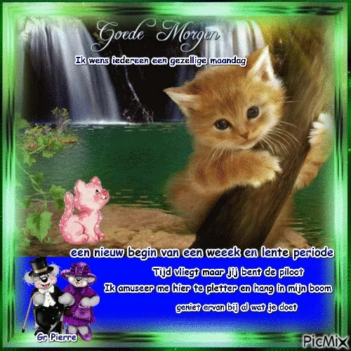 ᐅ mijnmaandag - Maandag plaatjes Een schattige kitten en een varkentje met kleurrijke achtergrond en vrolijke tekst.