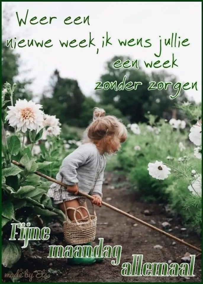 ᐅ mijnmaandag - Maandag plaatjes Meisje met een mand wandelt tussen bloemen op een zorgeloze maandag.
