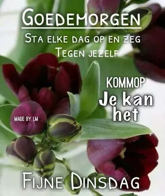 ᐅ mooie dinsdag wensen - Dinsdag plaatjes ᐅ mooie dinsdag wensen - Dinsdag plaatjes