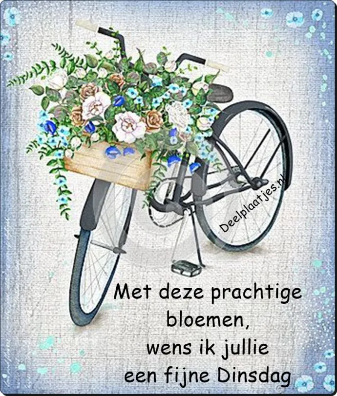 ᐅ mooie dinsdag wensen - Dinsdag plaatjes ᐅ mooie dinsdag wensen - Dinsdag plaatjes