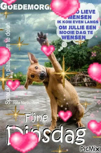 ᐅ mooie dinsdag wensen - Dinsdag plaatjes ᐅ mooie dinsdag wensen - Dinsdag plaatjes