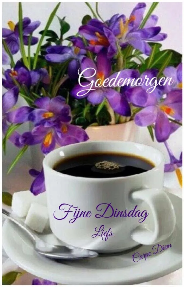 ᐅ mooie dinsdag wensen - Dinsdag plaatjes ᐅ mooie dinsdag wensen - Dinsdag plaatjes