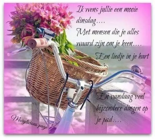 ᐅ mooie dinsdag wensen - Dinsdag plaatjes ᐅ mooie dinsdag wensen - Dinsdag plaatjes