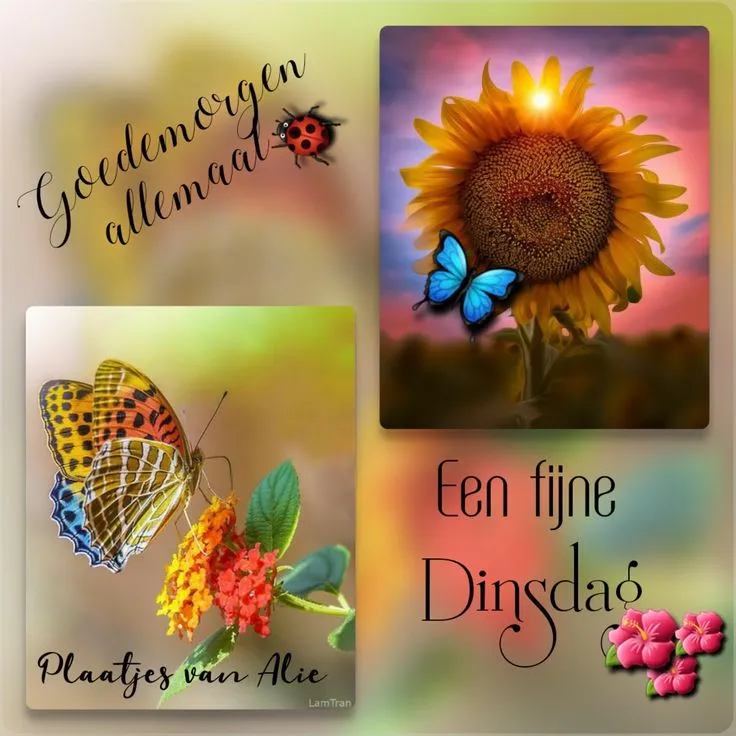 ᐅ mooie dinsdag wensen - Dinsdag plaatjes ᐅ mooie dinsdag wensen - Dinsdag plaatjes