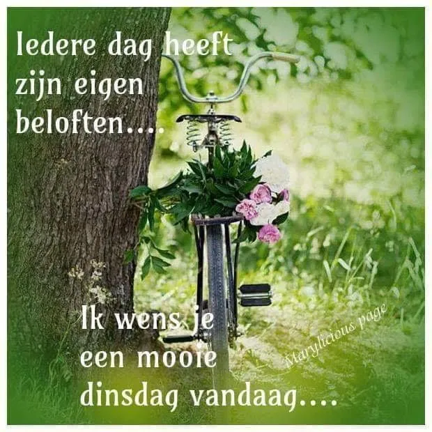 ᐅ mooie dinsdag wensen - Dinsdag plaatjes ᐅ mooie dinsdag wensen - Dinsdag plaatjes