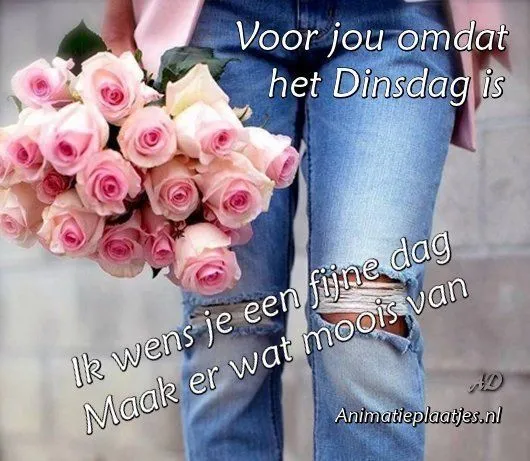 ᐅ mooie dinsdag wensen - Dinsdag plaatjes ᐅ mooie dinsdag wensen - Dinsdag plaatjes