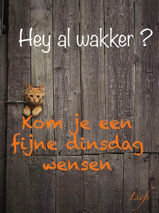 ᐅ mooie dinsdag wensen - Dinsdag plaatjes ᐅ mooie dinsdag wensen - Dinsdag plaatjes