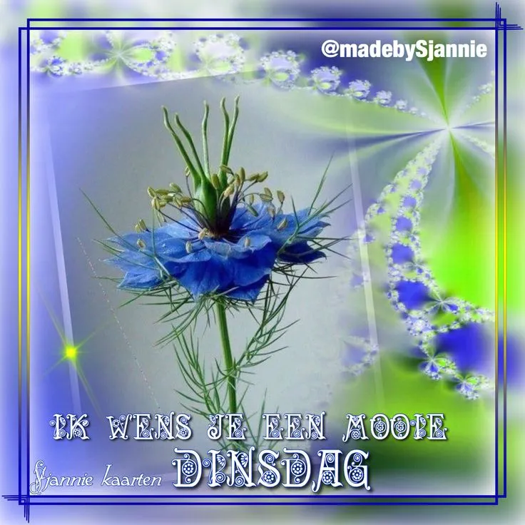 ᐅ mooie dinsdag wensen - Dinsdag plaatjes ᐅ mooie dinsdag wensen - Dinsdag plaatjes