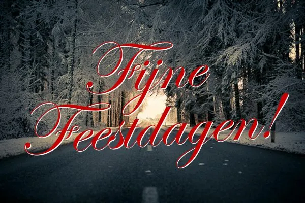 ᐅ mooie jaarwisseling - Jaarwisseling plaatjes Tekst in sierletters op een besneeuwde weg: "Fijne Feestdagen!"