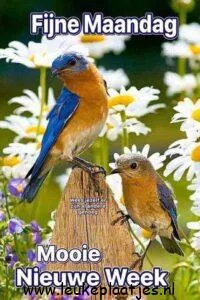 mooie maandag