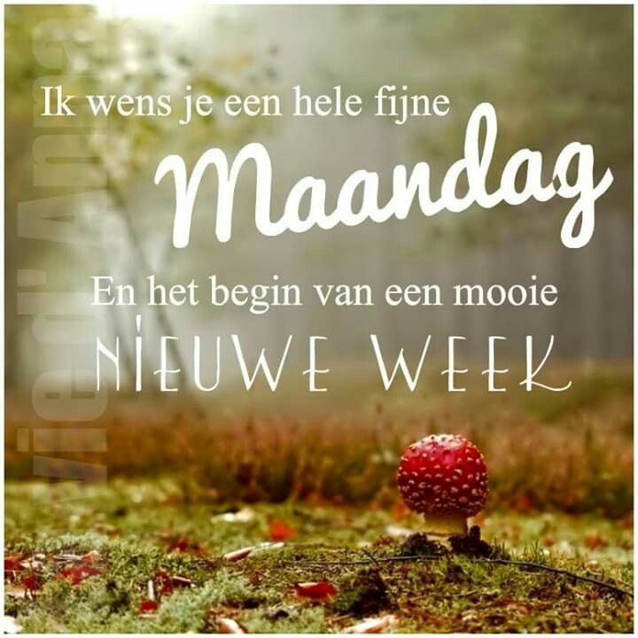 ᐅ mooie maandag - Maandag plaatjes