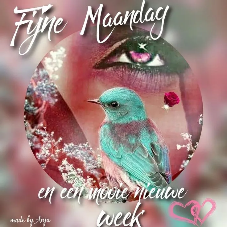 Kleurige afbeelding met een vogel, een oog en de tekst "Fijne Maandag en een mooie nieuwe week".
