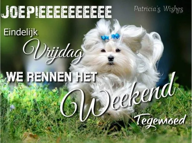 ᐅ mooie vrijdag - Vrijdag plaatjes