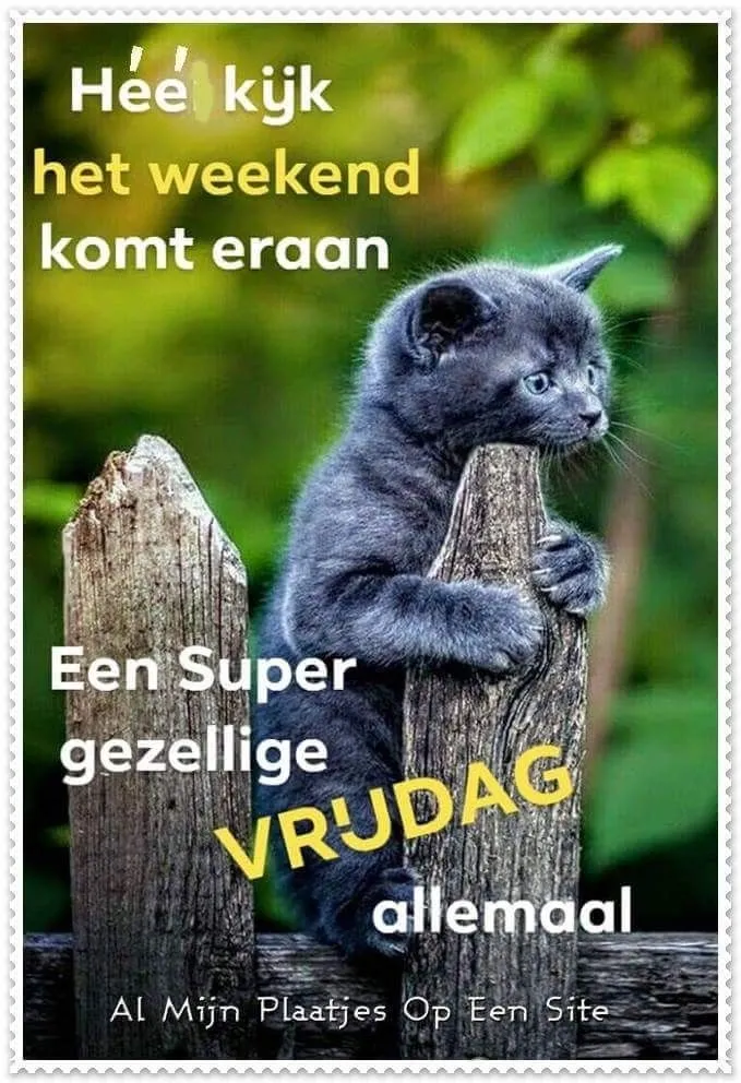 ᐅ mooie vrijdag - Vrijdag plaatjes