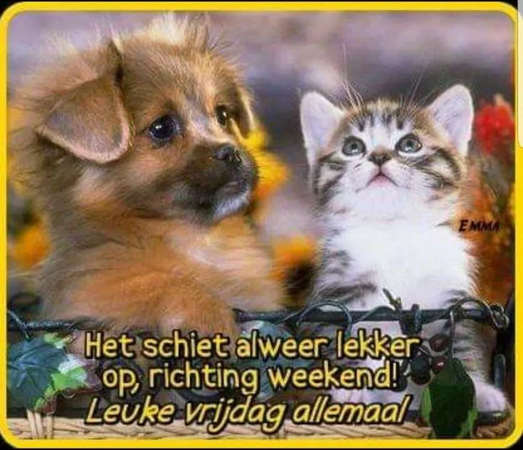 ᐅ mooie vrijdag - Vrijdag plaatjes