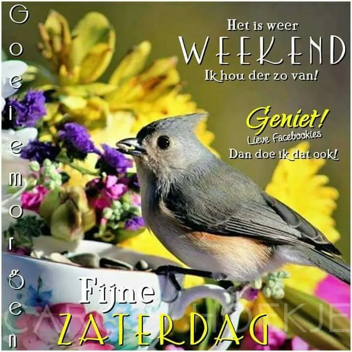 ᐅ mooie zaterdag - Zaterdag plaatjes Een vogel tussen kleurrijke bloemen, met tekst over het weekend en genieten.