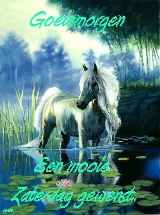 ᐅ mooie zaterdag - Zaterdag plaatjes Wit paard staat in water tussen lotusbloemen, met een bos op de achtergrond.