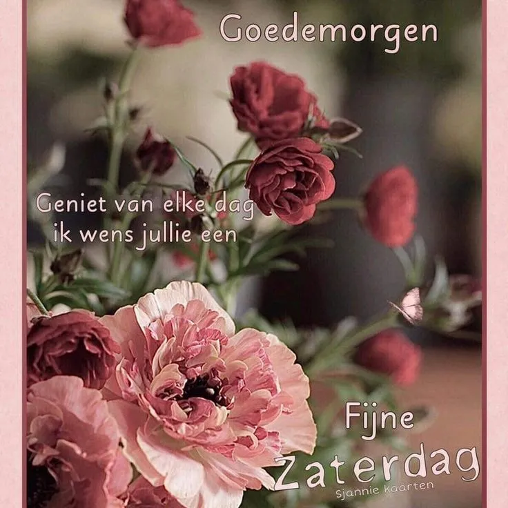 ᐅ mooie zaterdag - Zaterdag plaatjes Bloemen met de tekst ‘Goedemorgen’ en ‘Fijne Zaterdag’. Een vrolijke groet.