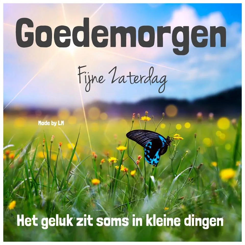 ᐅ mooie zaterdag - Zaterdag plaatjes Zonnetje, bloemen en een paarse vlinder met positieve tekst over geluk.