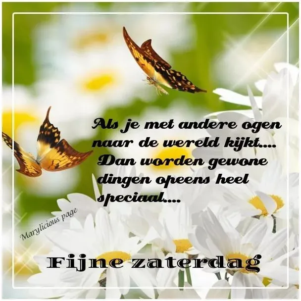 ᐅ mooie zaterdag - Zaterdag plaatjes Tekst met vlinders en bloemen, boodschap over de bijzondere kijk op de wereld.