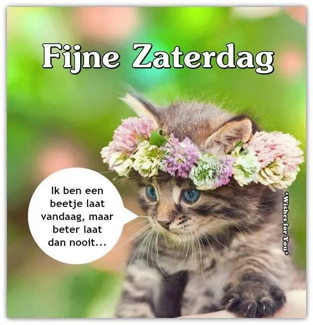 ᐅ mooie zaterdag - Zaterdag plaatjes Schattige kitten met bloemenkrans en tekst "Fijne Zaterdag".