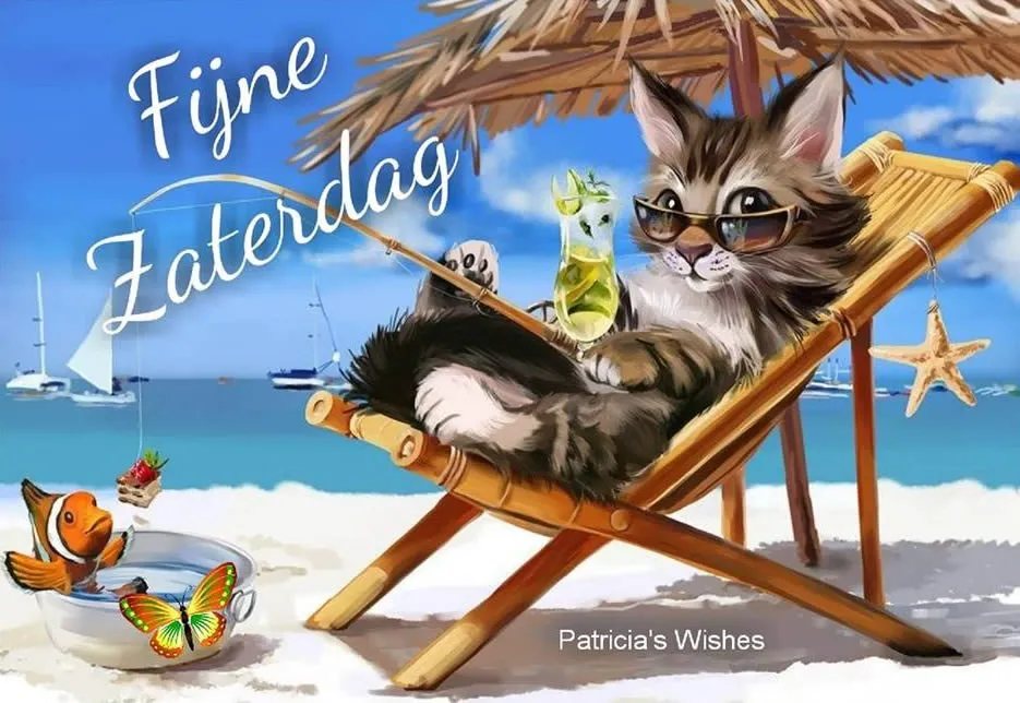 ᐅ mooie zaterdag - Zaterdag plaatjes Een kat in een zonnebril ontspant op een ligstoel aan het strand.