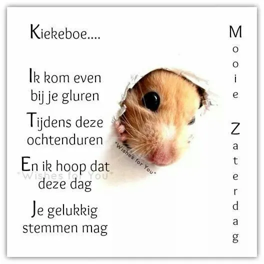ᐅ mooie zaterdag - Zaterdag plaatjes Een schattige hamster die door een gat kijkt met een vrolijke tekst eromheen.